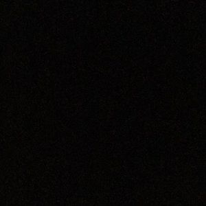 Meet your Posher, Brady